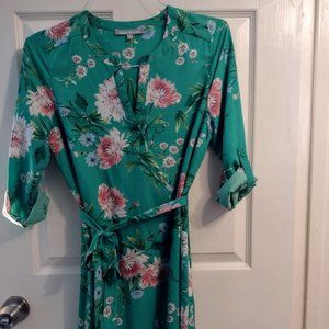 Daniel Rainn Harlow Shirt Dress 